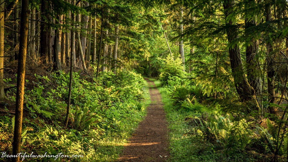 Photo from Washington State