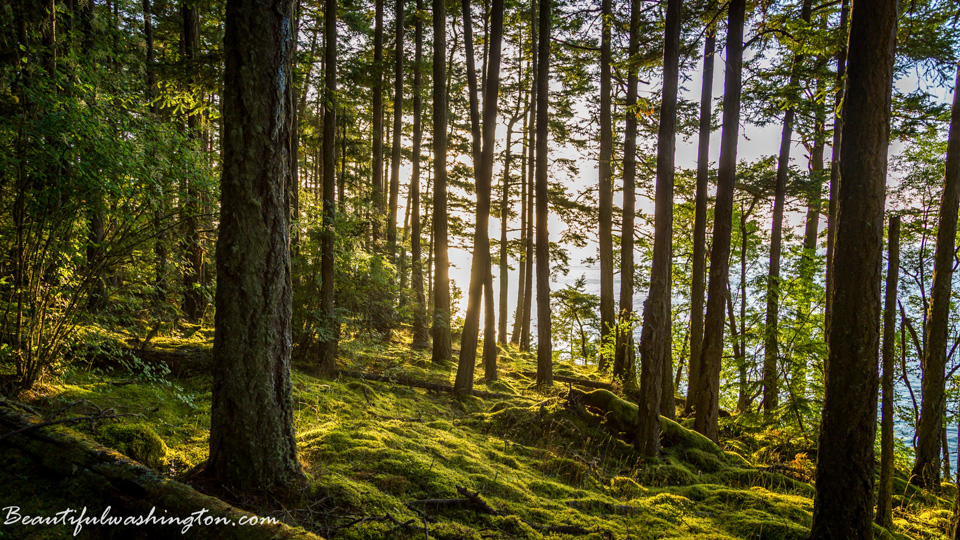 Photo from Washington State