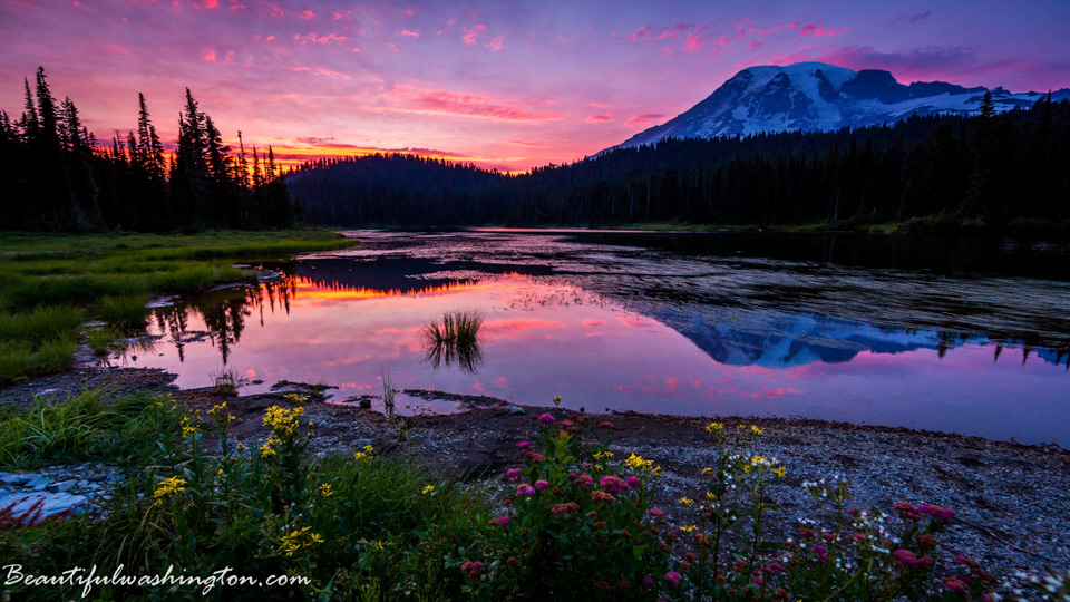 Photo from Washington State