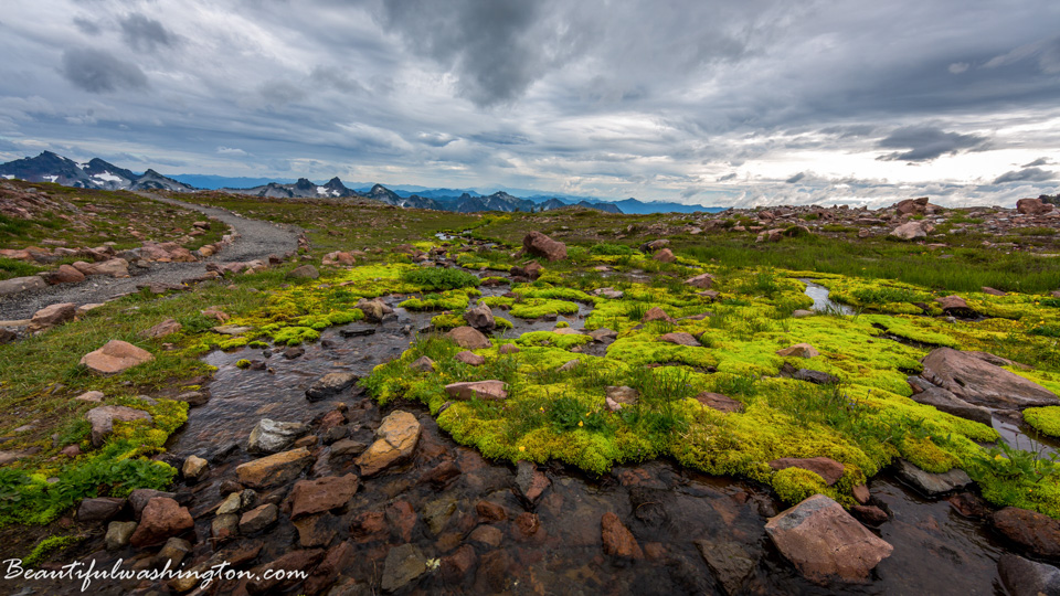 Photo from Washington State