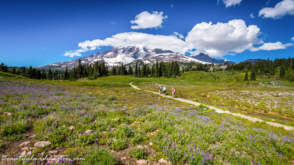 Photo from Washington State