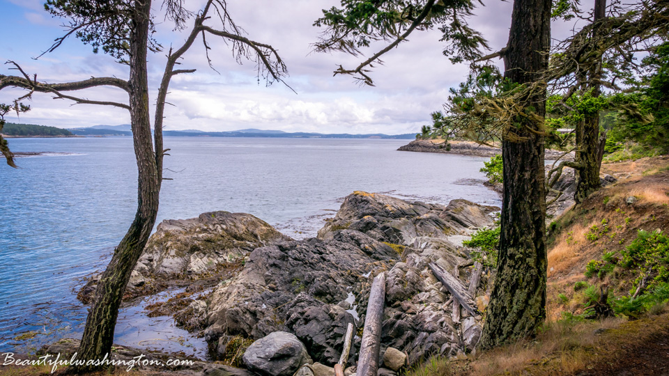 Photo from Washington State