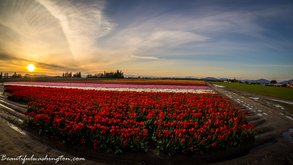 Photo from Washington State