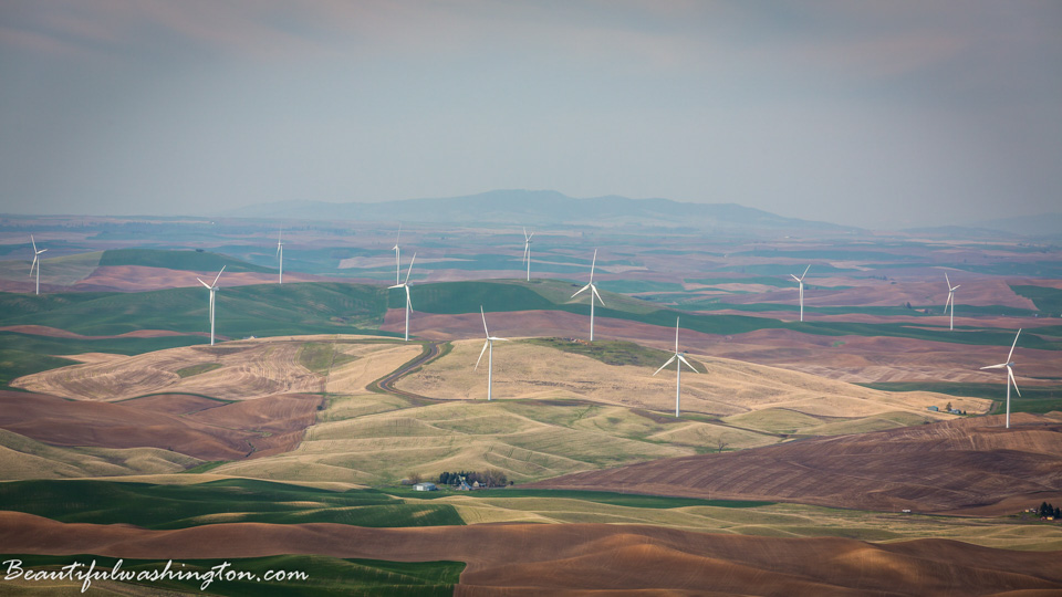 Photo from Washington State