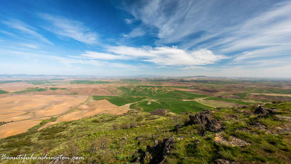 Photo from Washington State