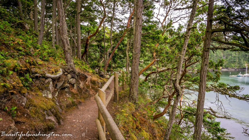 Photo from Washington State