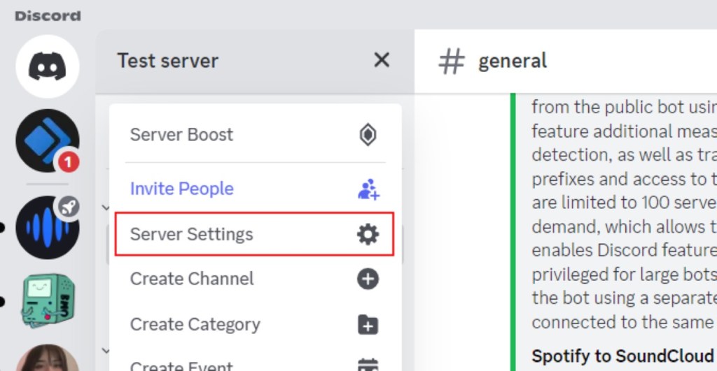 Discord Test Server Settings