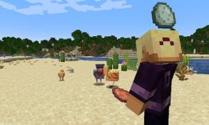 Minecraft Snapshot 25W06A Adds New Chicken Variants, Dry Grass, Cactus Flower and More