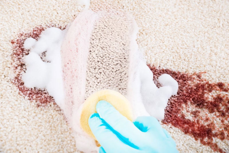 How to Get Blood Out Of Carpet