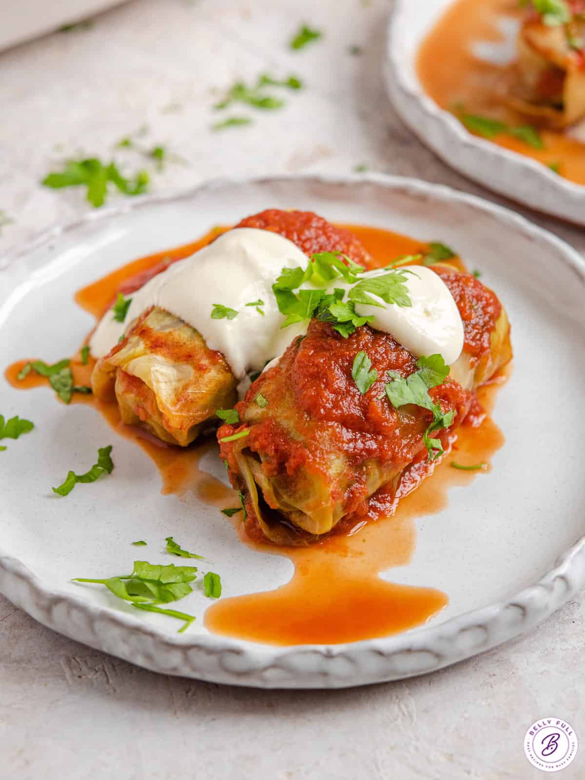 2 cabbage rolls on plate with tomato sauce and sour cream