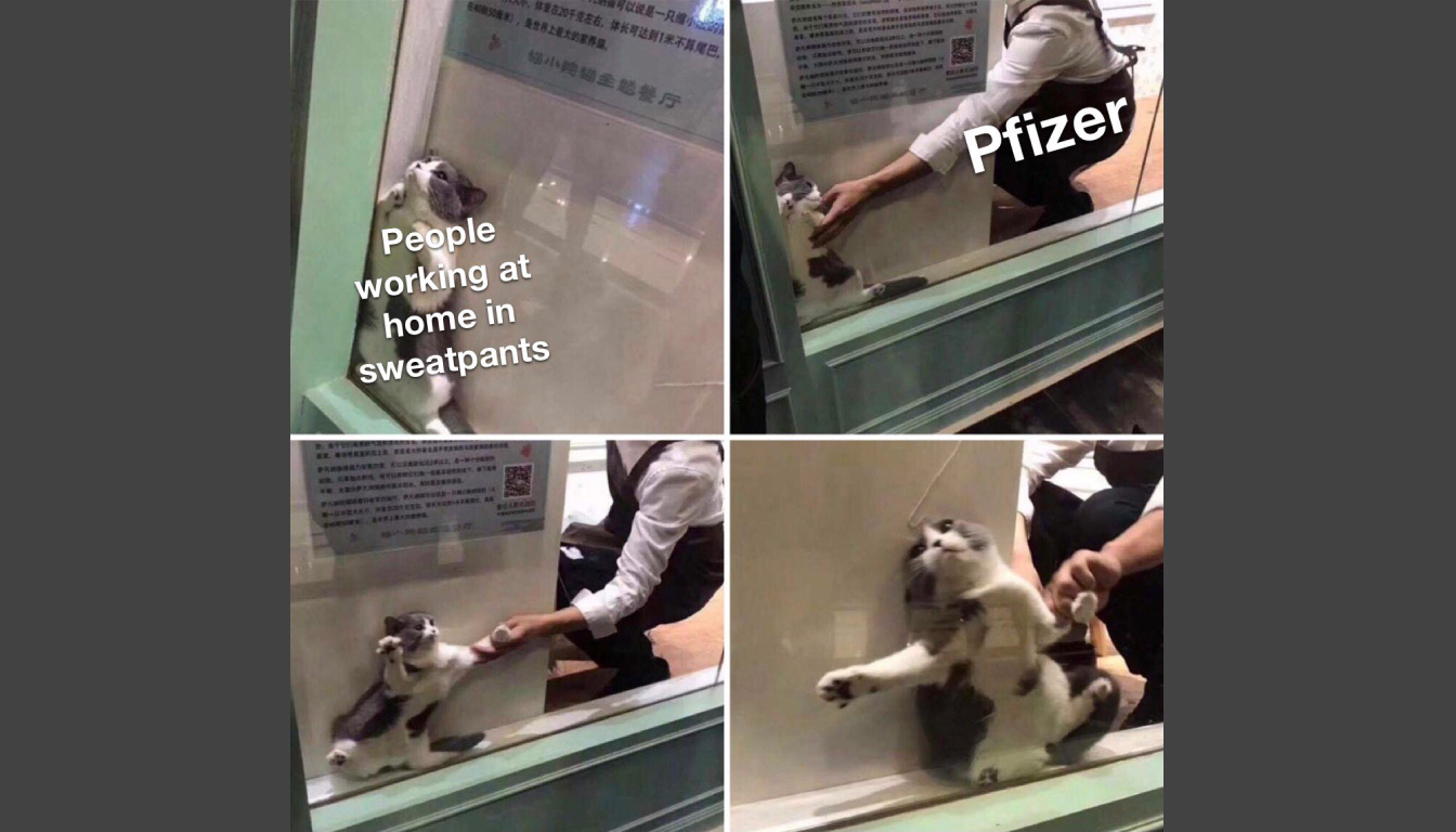 The Pfizer meme described in the episode.