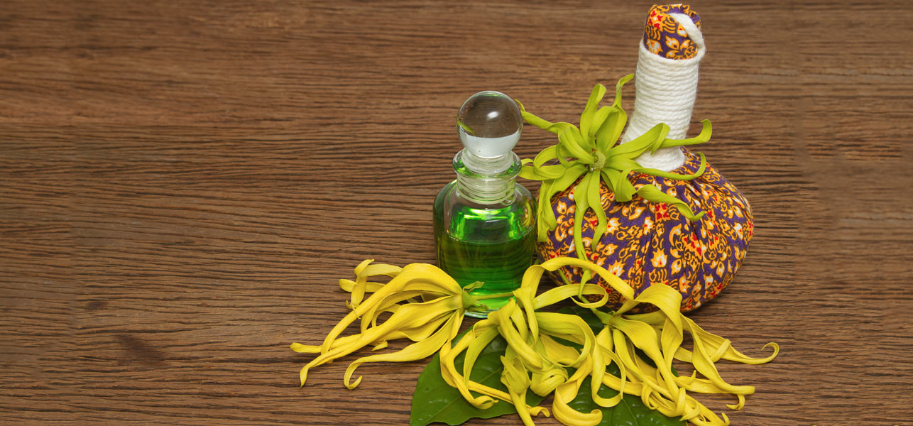 uses-Ylang-Ylang-oil