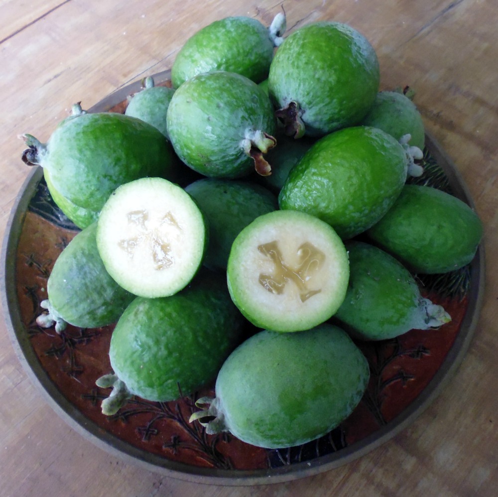 10-Amazing-Health-Benefits-of-Feijoa