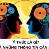 Ý THỨC LÀ GÌ? VÀ NHỮNG THÔNG TIN CẦN BIẾT