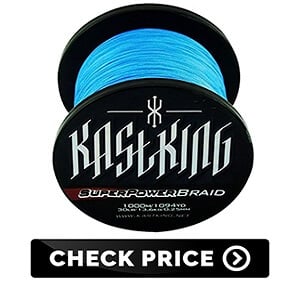  Braided Fishing Line