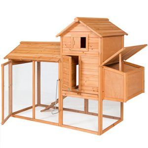 Best Chicken Coops for 4 Chickens 2019: Best Choice Products