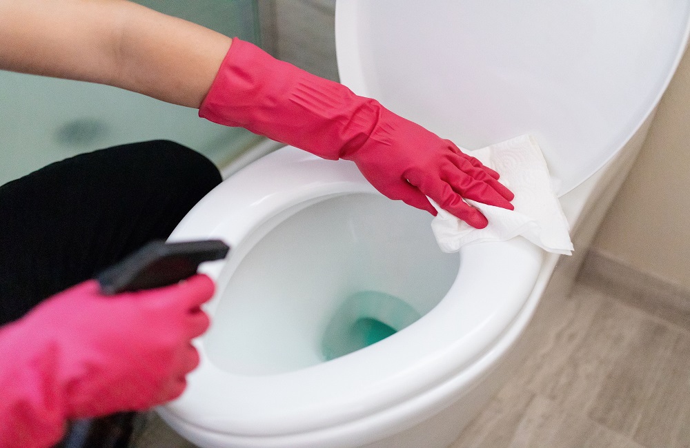 how-to-clean-toilet-bowl-using-vinegar-bestbuyideas