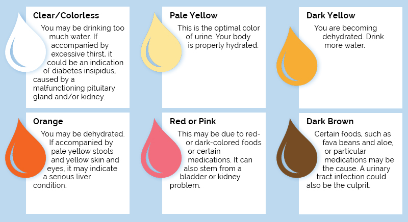 Urine Color Chart | What Color Should Your Urine Be