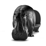 «AnimalChair»:animal shapedunusualarmchairscollection