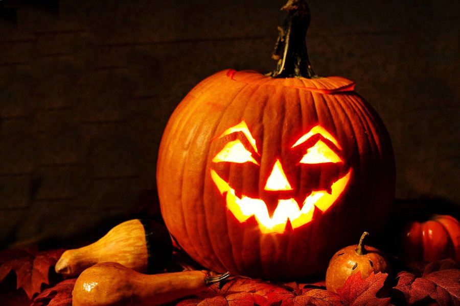 DIY Halloween Decorations Close Up of a Jack-O-Lantern Surrounded by Other Pumpkins