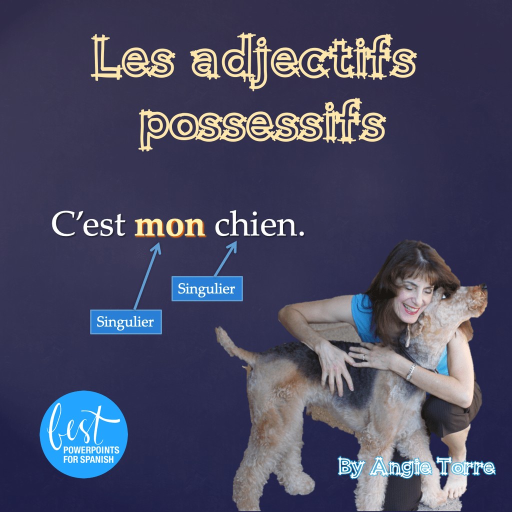 Possessive Adjectives In French