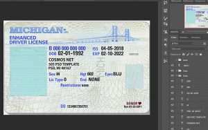 michigan driver license usa