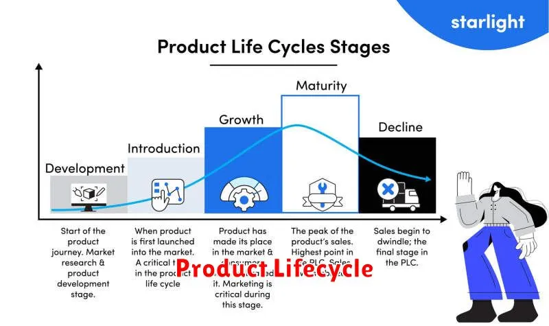 Memahami Product Lifecycle: Tahapan Perjalanan Produk dari Awal hingga ...