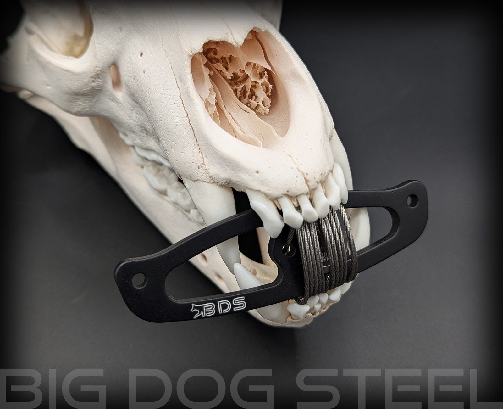 Big Dog Steel Predator Drag