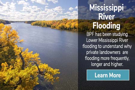 Mississippi River Flooding