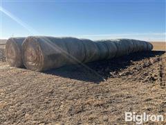 Net Wrapped 3rd Cutting Alfalfa Round Bales 