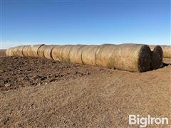 Net Wrapped 3rd Cutting Alfalfa Round Bales 