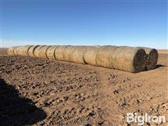 Net Wrapped 3rd Cutting Alfalfa Round Bales 