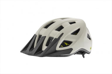 Path ARX MIPS Helm - Mattsnow