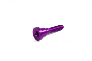 Tornillo para Head Doctor - morado