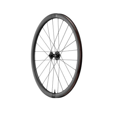 SLR 2 Tubeless Carbon Disc 36