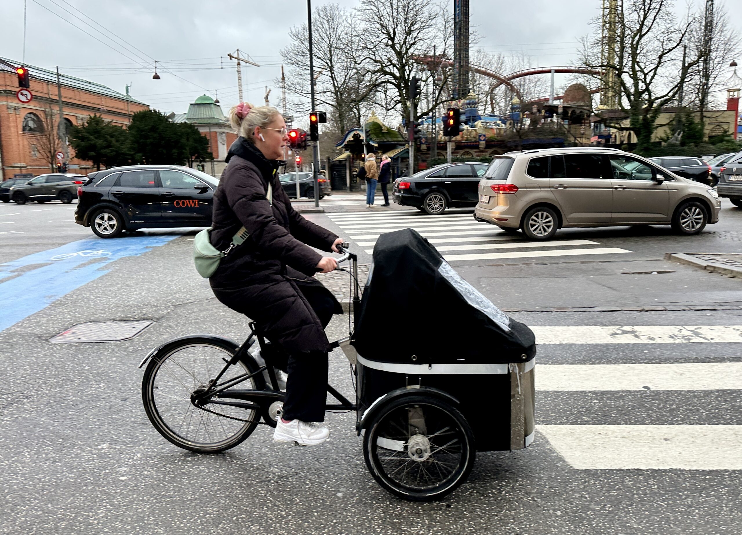 Copenhagen Bicycle