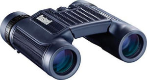 Bushnell H2O Waterproof-Fogproof Compact Roof Prism Binocular 10x25