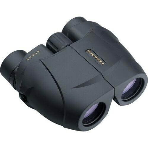 Leupold BX-1 Rogue 10x25mm Compact Binoculars