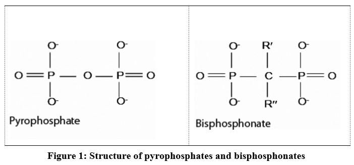 Bisphosphonates: From Pharmacology to Treatment – Biomedical and ...