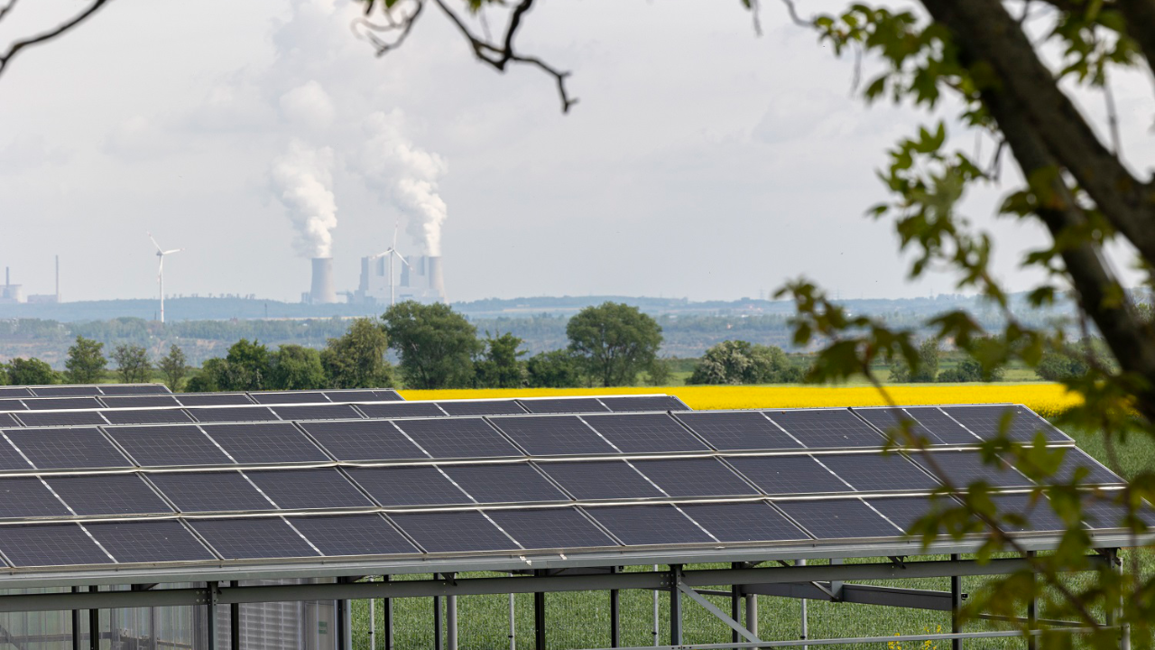 Photovoltaikanlagen im Vordergrund, rechts die Äste eines Baumes. Im Hintergrund ein gelbes Rapsfeld und eine Industrie mit qualmenden Schornsteinen.