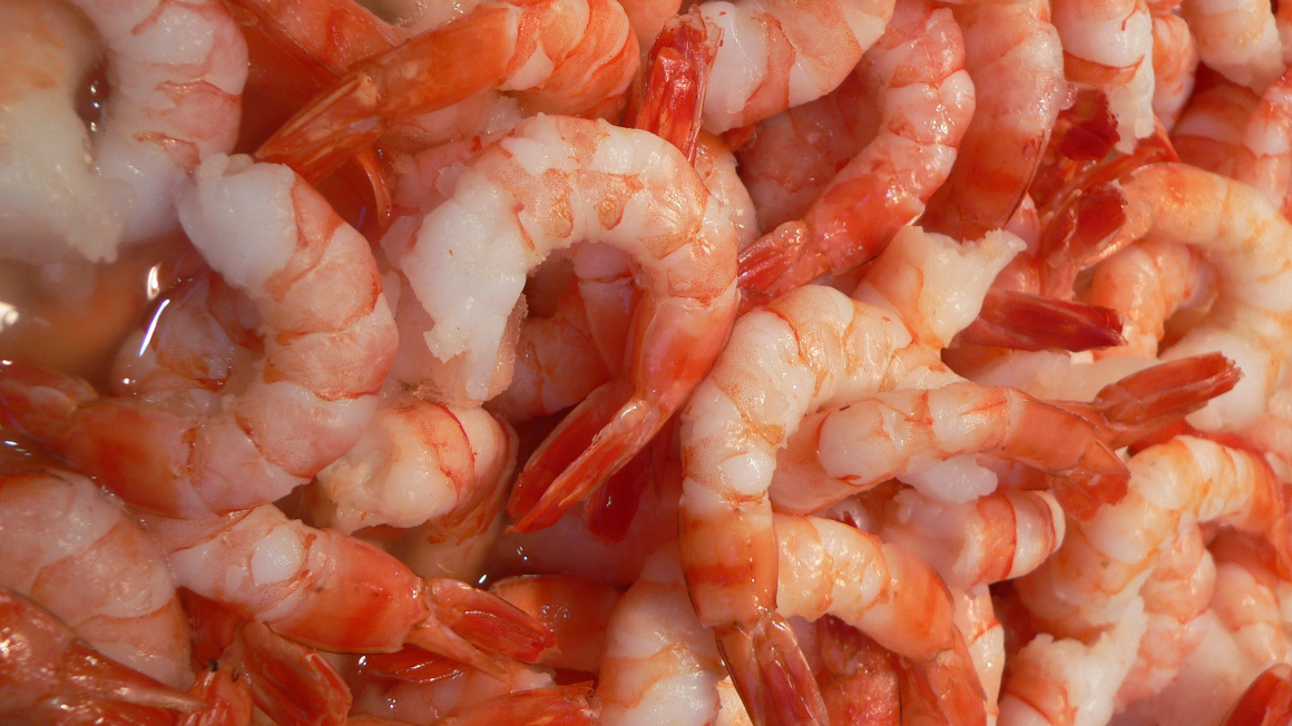 Shrimps 