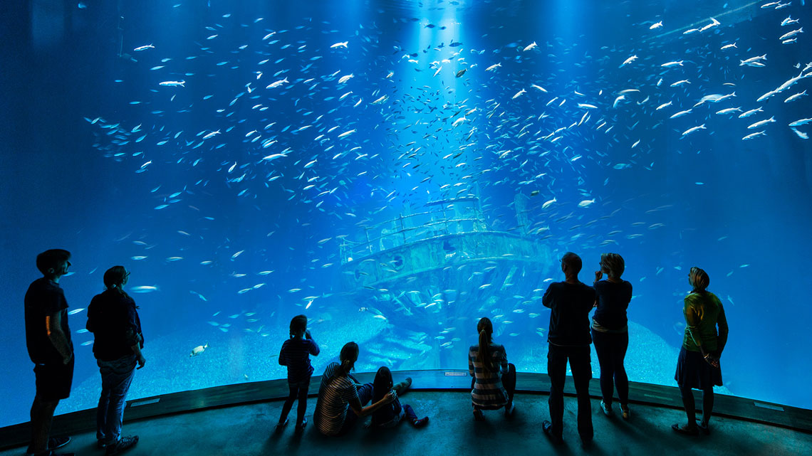 Ozeaneum Stralsund