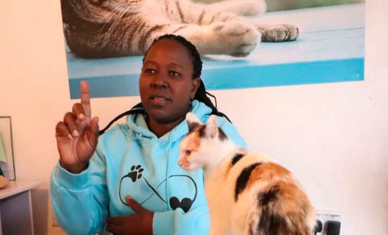 Rachel Kabue: I built my 386 cats Sh. 1mn home, spend Sh. 280k monthly on cat food