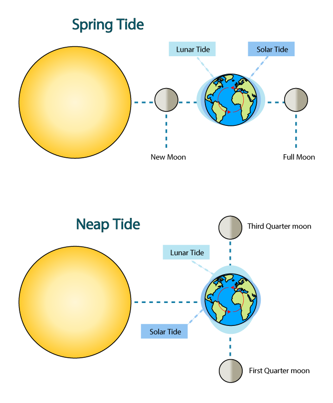 Neap Tides Definition Neap Tides Moon Phase Neap Tides Diagram 2024