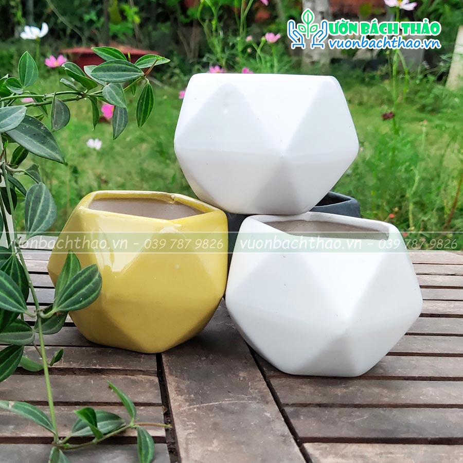 Chậu Sứ Trồng Cây Để Bàn Mini 05 | Vườn Bách Thảo