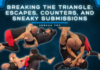 Breaking The Triangle: A Joshua You BJJ DVD Review