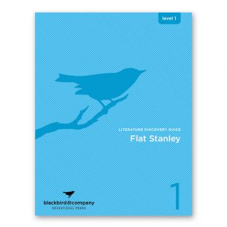 flat stanley workbook