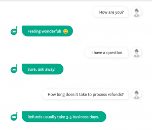 Screenshot of a chatbot conversation