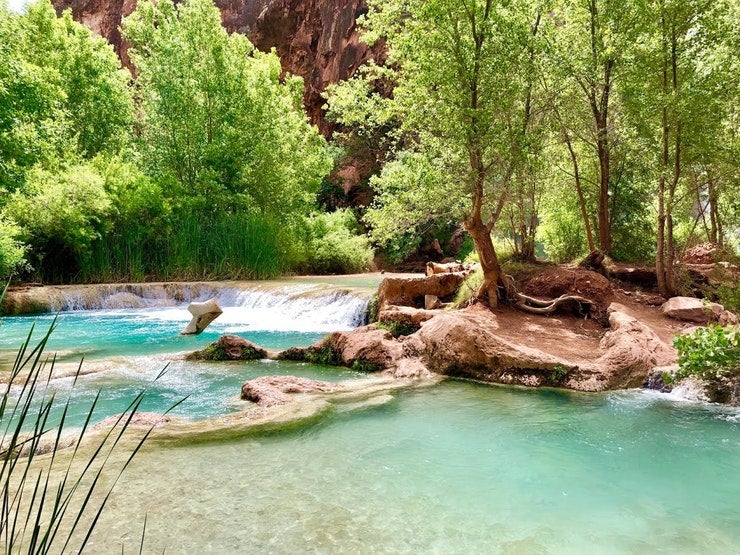 clear blue waters surrounded by lush trees at Havasu Falls, photo from a camper on The Dyrt