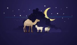 Eid-Ul-Adha 2024: Things to Consider When Buying Sacrificial Animals (Qurbani Ke Janwar)